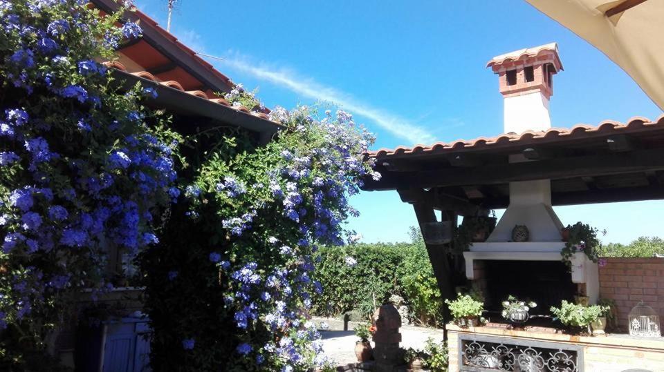 Bed and Breakfast Il Casale Del Sogno Ардеа Экстерьер фото
