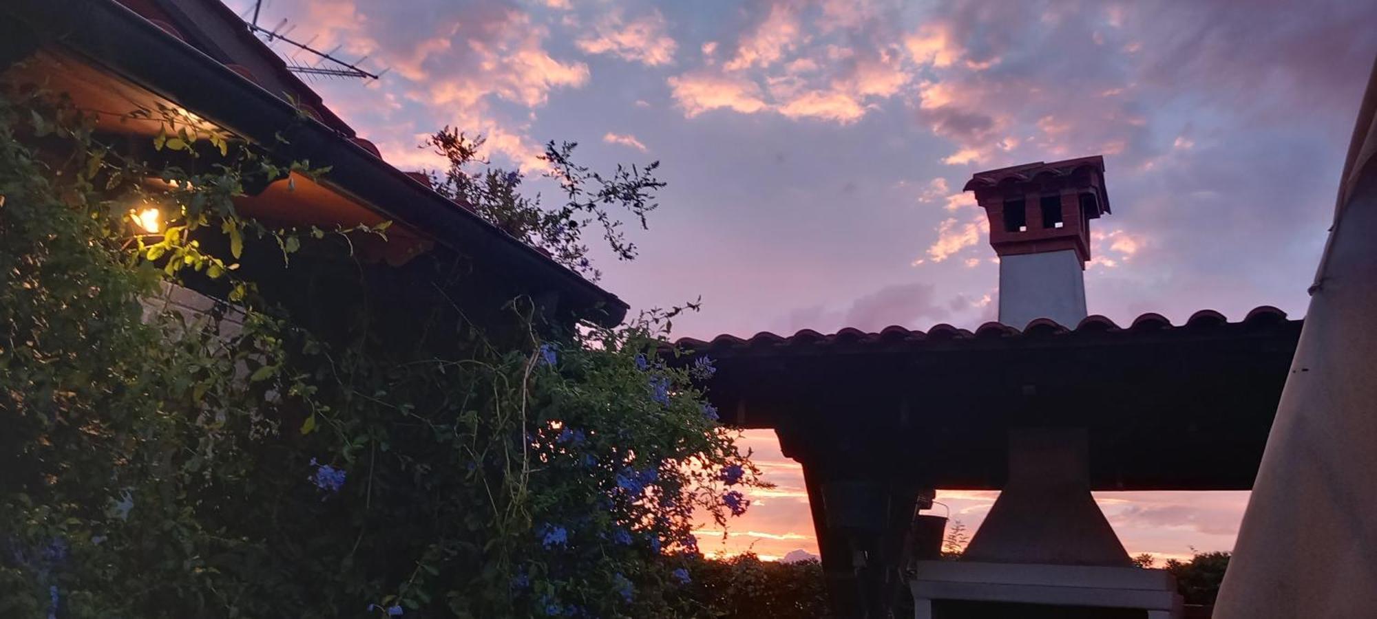 Bed and Breakfast Il Casale Del Sogno Ардеа Экстерьер фото