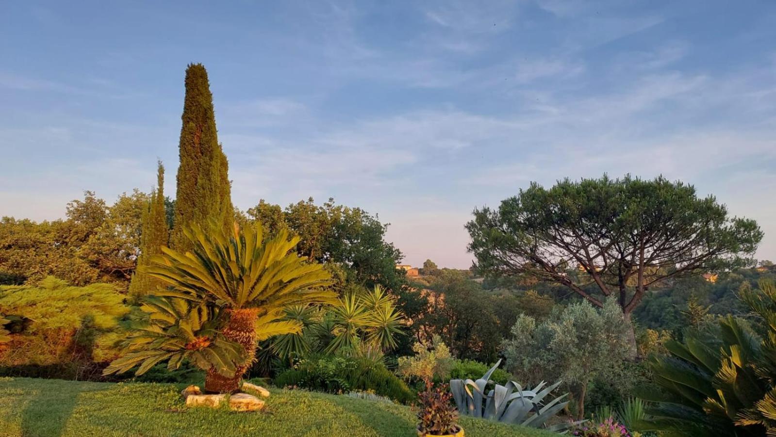 Bed and Breakfast Il Casale Del Sogno Ардеа Экстерьер фото
