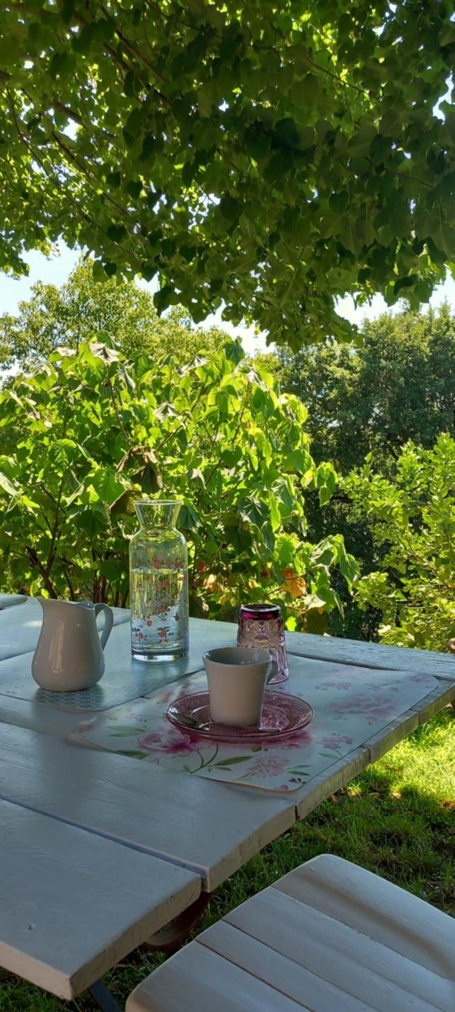 Bed and Breakfast Il Casale Del Sogno Ардеа Экстерьер фото