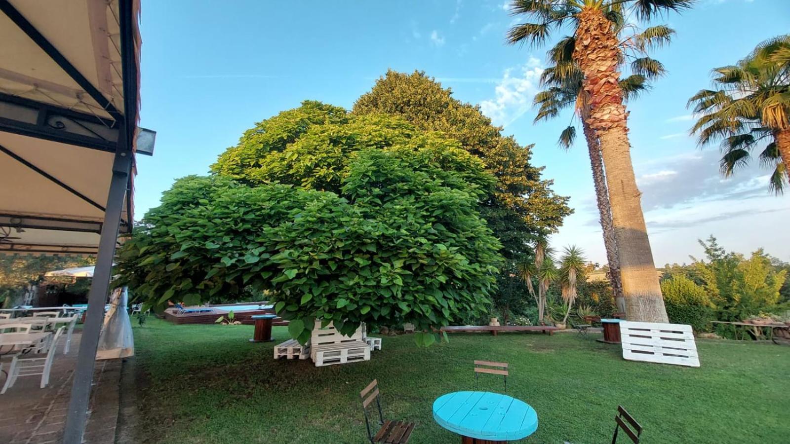 Bed and Breakfast Il Casale Del Sogno Ардеа Экстерьер фото