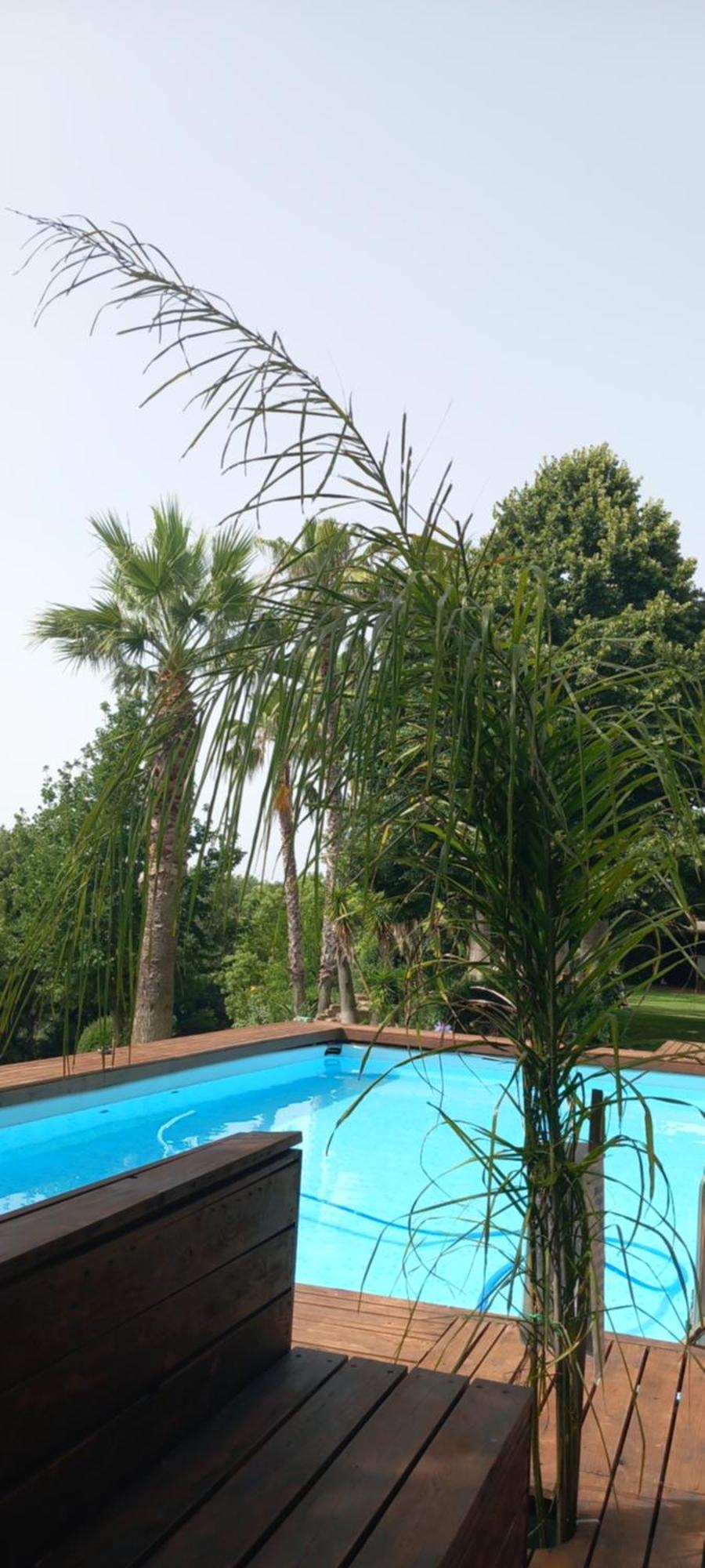Bed and Breakfast Il Casale Del Sogno Ардеа Экстерьер фото