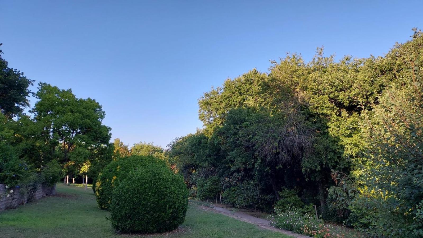 Bed and Breakfast Il Casale Del Sogno Ардеа Экстерьер фото