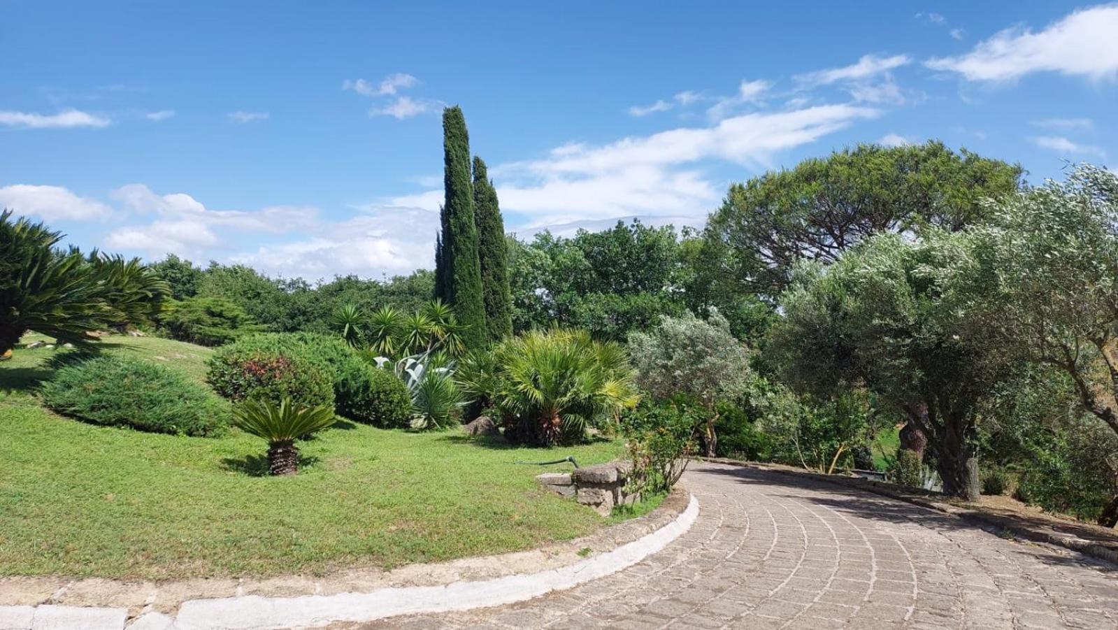 Bed and Breakfast Il Casale Del Sogno Ардеа Экстерьер фото