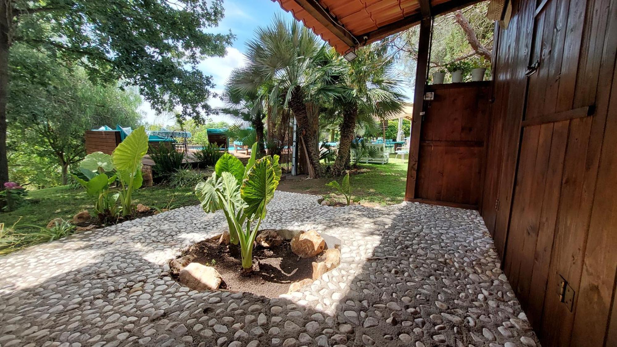 Bed and Breakfast Il Casale Del Sogno Ардеа Экстерьер фото