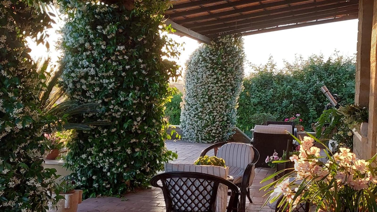 Bed and Breakfast Il Casale Del Sogno Ардеа Экстерьер фото
