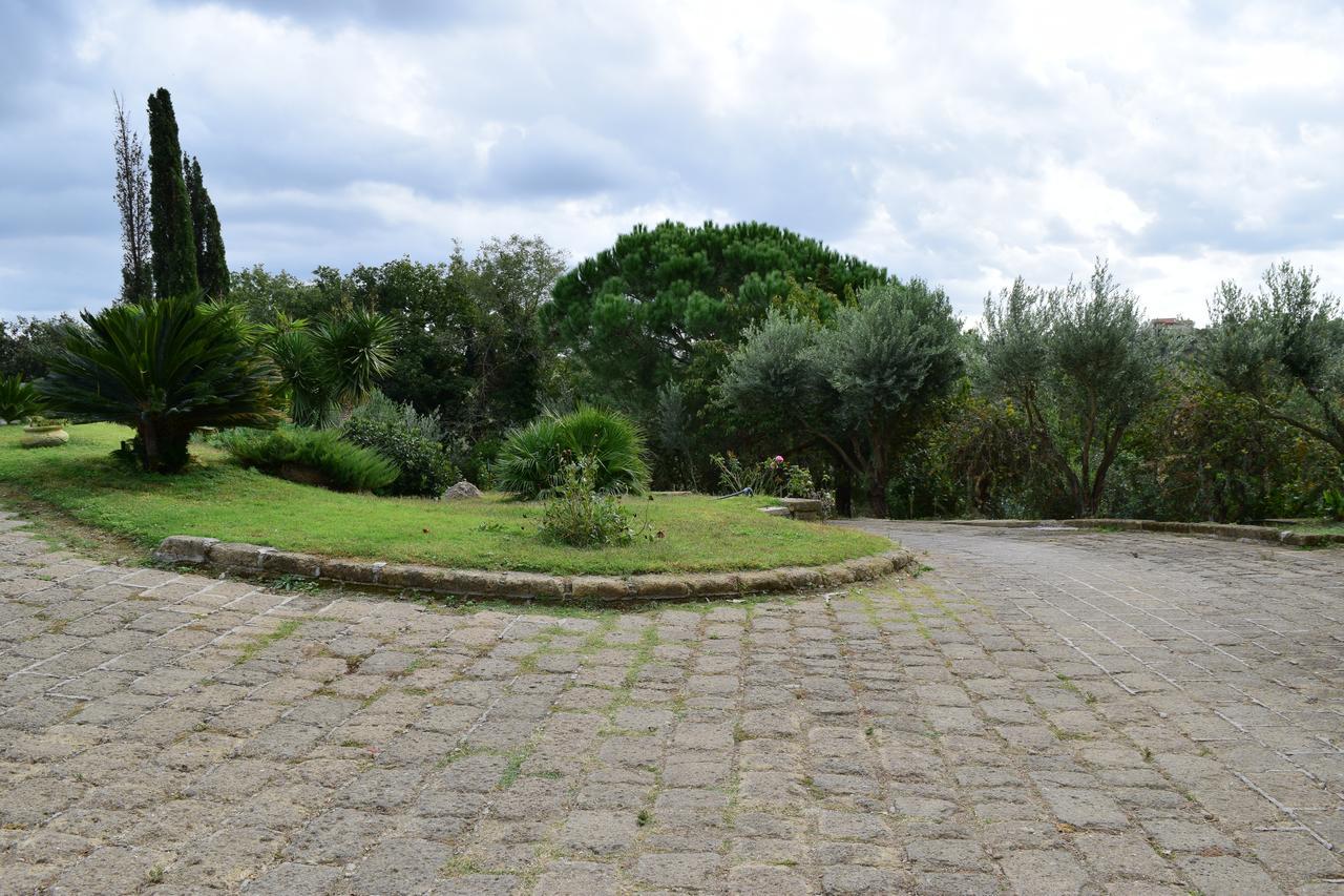 Bed and Breakfast Il Casale Del Sogno Ардеа Экстерьер фото