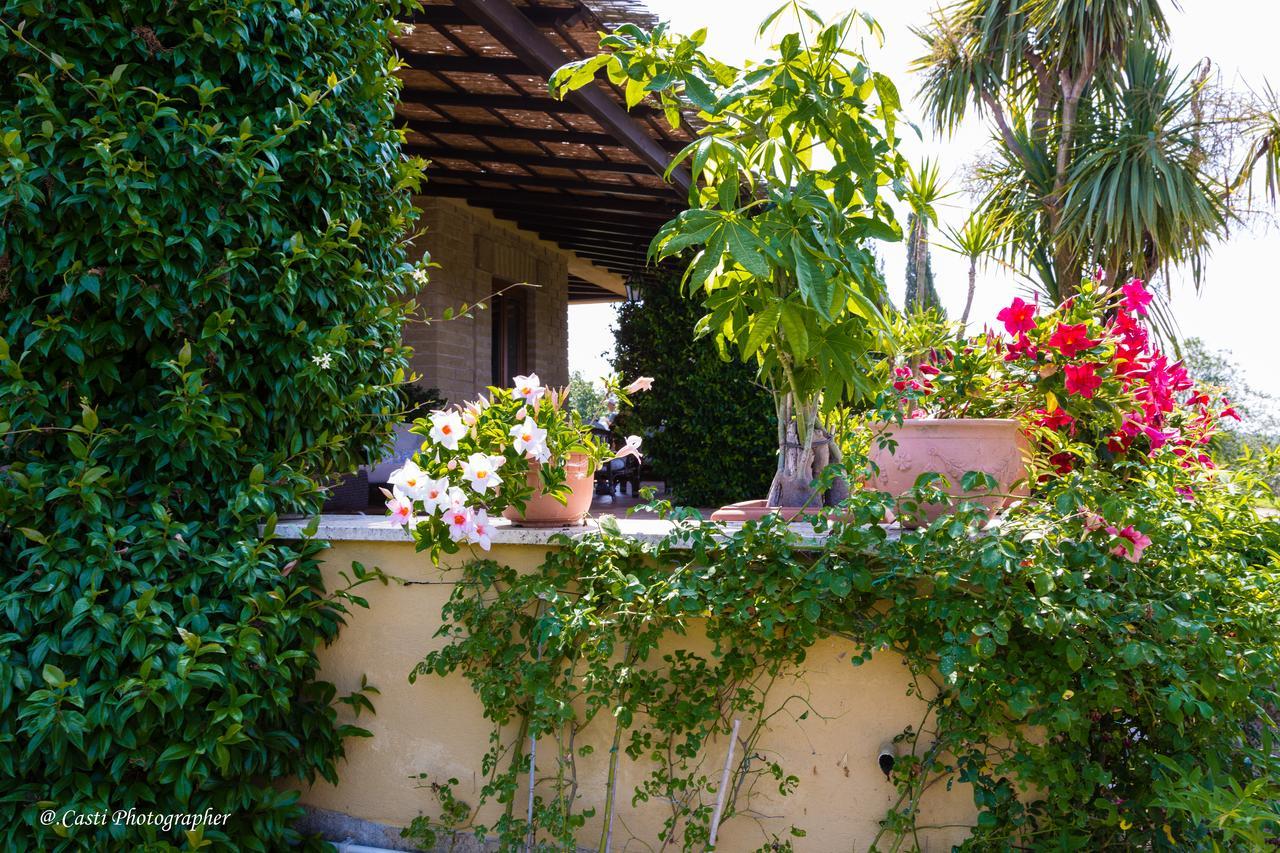 Bed and Breakfast Il Casale Del Sogno Ардеа Экстерьер фото